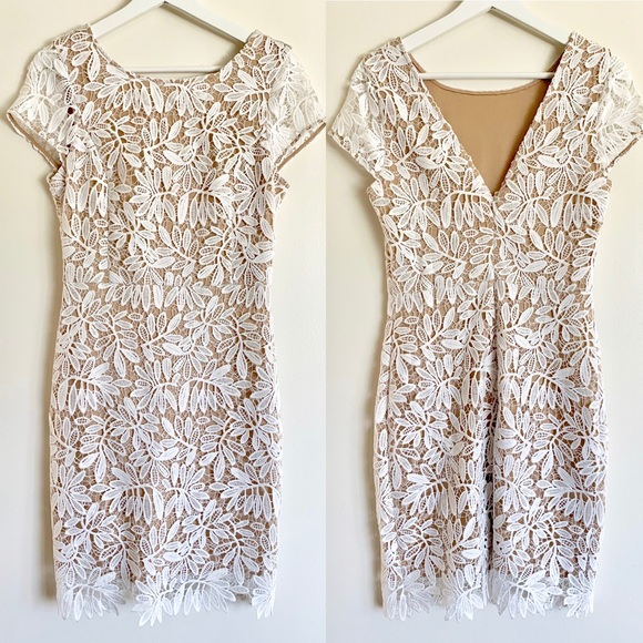 Lulus White and Nude Lace Bodycon Dress - Picture 8 of 8